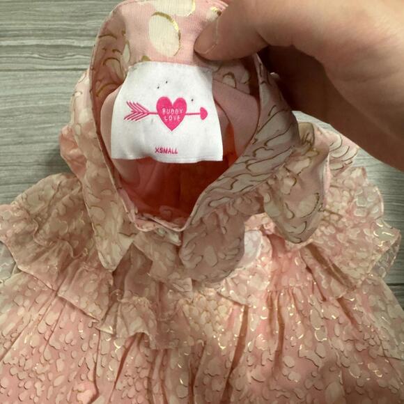 Buddy Love Pink Bubble Bath Astrid Tiered Ruffle Front Mini Short Dress- Size XS - Picture 6 of 6